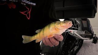 South Dakota Perch, Walleye, and Crappies - In-Depth Outdoors TV, Season 10 Episode 8