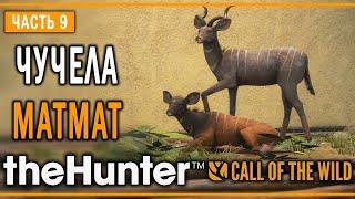 theHunter Call of the Wild #9  - Дозорный - Кoмпозиции из Чучeл