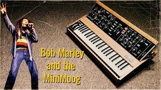 Bob Marley & The Minimoog