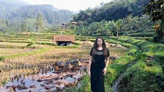 MASYA ALLAH,SUBUR MAKMUR,AIR MELIMPAH, KEHIDUPAN DI DESA YANG INDAH BIKIN BETAH