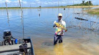 Caiman Hunting / Peacock Bass Fishing At Its Best