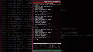 Analyze A Binary Using Radare2