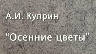 А.И. Куприн  "Осенние цветы". Рассказ. Читает Вера Петлина. Аудиокнига.