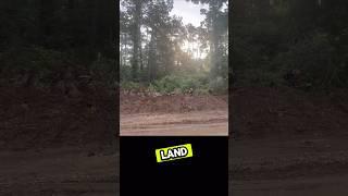 How FAST can I clear 1 ACRE of land? #construction #excavator #work #heavyequipment #landclearing