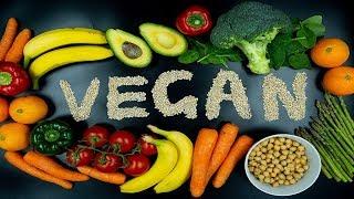 Intro to Nutrition #45: Is the Vegan Diet HEALTHY? Beginner's Guide to Veganism & PLANT BASED DIET!!