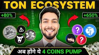 TON Ecosystem Coins Pumping Hard! X Empire 1600% Up - Ab Ye 4 Coins Pump Ho Sakte Hain!