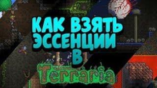 ГДЕ И КАК ДОСТАТЬ ВСЕ ЭССЕНЦИИ В ТЕРРАРИИ. ЭССЕНЦИИ СВЕТА,ТЬМЫ,ВОЗДУХА,МОГУЩЕСТВА,ПРОЗРЕНИЯ,УЖАСА...