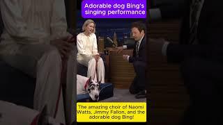 Naomi Watts and Jimmy Fallon Sang a Song with Adorable Dog Bing! #naomiwatts #jimmyfallon