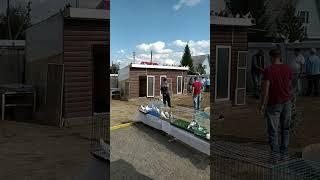 В Гостях у Рустамова Алика Жана.