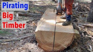 Pirates Chainsaw Milling Big Timber Free Hand