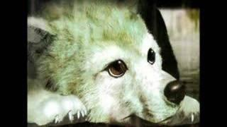 Wolf's Rain - Cloud 9