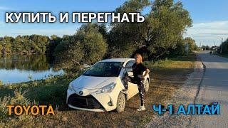 ПОКУПКА И ПЕРЕГОН В ОДНОГО. ВЛАДИВОСТОК - КРАСНОДАР TOYOTA VITZ .