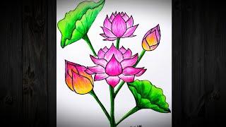 LOTUS FLOWER Drawing Easy Step-by-Step / NILUFAR GUL Rasmini chizish. Oson