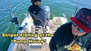 Striper Fishing at the Pumphouse San Luis Reservoir