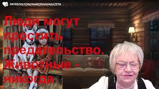 Житейская история. Люди могут простить предательство. А собака не простит никогда