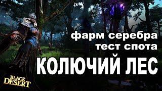 Колючий лес - Фарм 100+кк/час серебра в BDO - Black Desert (MMORPG)