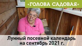 Голова садовая - Лунный посевной календарь на сентябрь 2021 г.