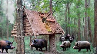 Building a hanging shelter from clay to escape from a wild boar