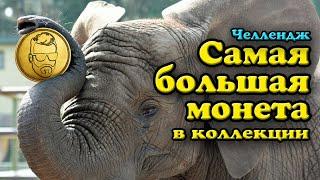 Самая Большая монета в моей коллекции. Челлендж для нумизматов