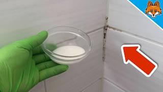 Remove Mold from Silicone(Quick & Easy)