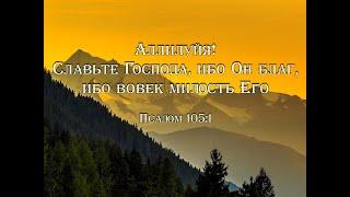 Песни хвалы и поклонения. Сборник № 8