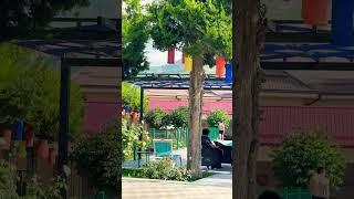 Dacha Lemon house