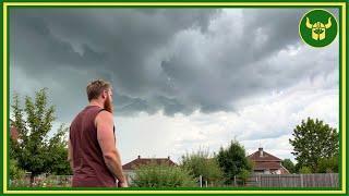 Chemtrails Have Destroyed My Garden...