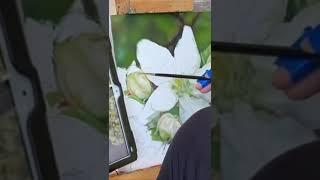  PAINTING TIME-LAPSE || ‘Apple Blossom’ Oil on Canvas, by Doris Rose