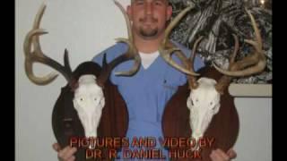 How to Easily Create a European Deer Mount  -SlideShow-