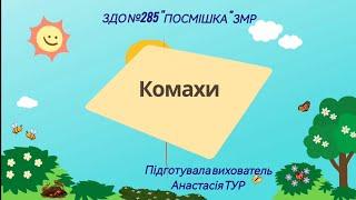 Заняття з ознайомлення з природним довкіллям "Комахи"