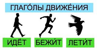 Verbs of Motion. Бесприставочные глаголы движения