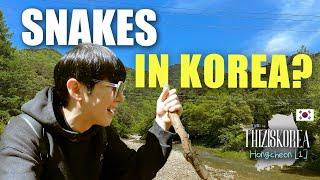 My terrifying trip in Korean Mountains | Hongcheon 1