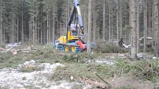 Delivery of a new forestry machine Eco Log 688E – Daylight harvesters service friendly cut to lenght