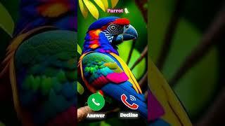 #ringtone #smartphone #ringtones #music
