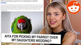 am I the A**HOLE for picking my PARROT over my DAUGHTER... REDDIT AITA