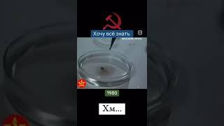 1980 год