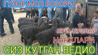 ГУЗОР МОЛ БОЗОРИ КУЙ - КУЗЛАР НАРХЛАРИ ТОМОША КИЛАМИЗ.