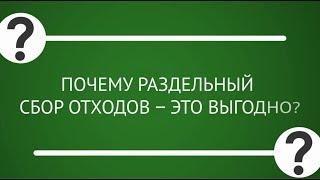 Раздельный сбор мусора во дворе. Истории успеха, шаги, выгода