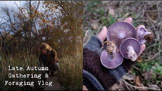 Late Autumn Vlog | foraging, gathering materials and basket making