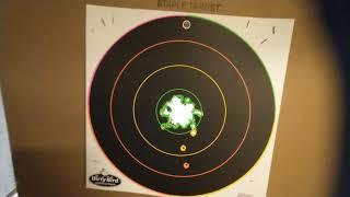 25 Caliber Artisan Airtact Air Rifle (75 feet perfect accurate shots)#airgun #hunting #target #fun