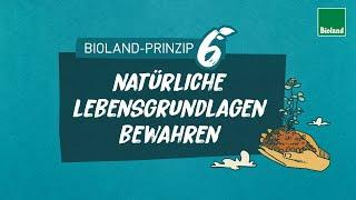 Bioland-Prinzip 6: Natürliche Lebensgrundlagen bewahren - Klimaschutz & Ressourcenschonung