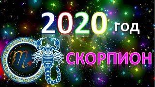 СКОРПИОН. ️ ️ 2020 год   Таро Прогноз Гороскоп 