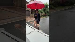 花2万学的钢琴，你们说值吗？ #人类幼崽 #6500万艾莎内裤 #露兮粑粑  #小小露兮  #内容启发搜索