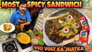 MOST SPICY SANDWICH ️ || 440 WATT का झटका लगेगा  STREET FOOD