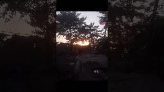 #suraj reaction vines #viral #short ️
