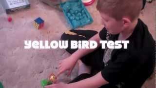 Angry Birds: Yellow Bird Test