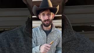 How much cheese is in Velveeta? 