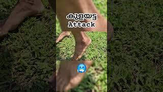 Varayadumotta Trekking Full Video in Channel  #shorts #malayalam #shortsviral #adventure #vlog