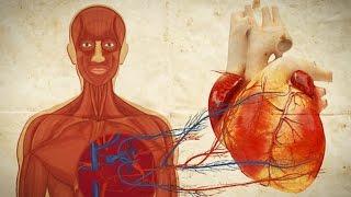 Slightly Disturbing Human Body Facts