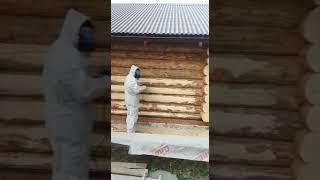 Шлифуем баню полным ходом!!! # Сперва прошли рубанком, потом шлифуем #shorts
